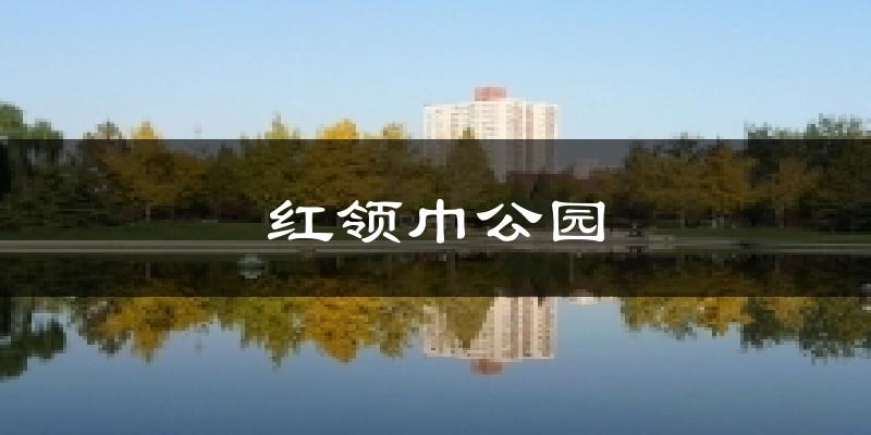 红领巾公园天气预报十五天