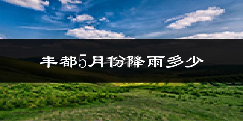 丰都5月份降雨多少?