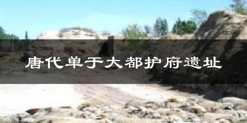 凉城唐代单于大都护府遗址天气预报未来一周