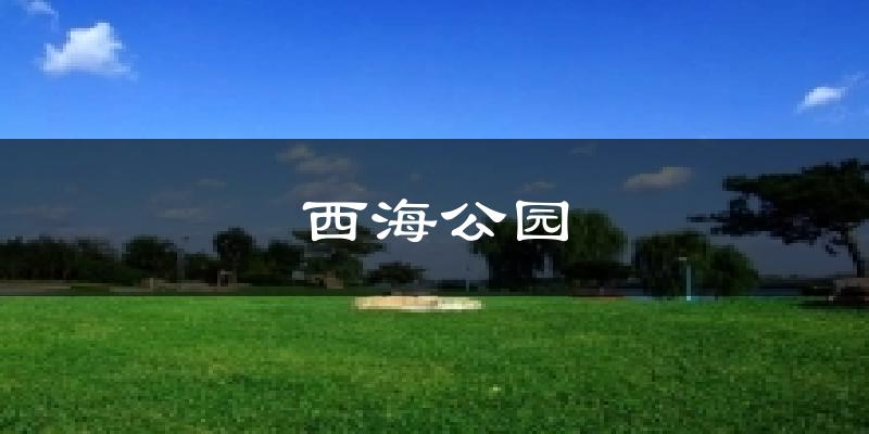 西海公园天气预报十五天