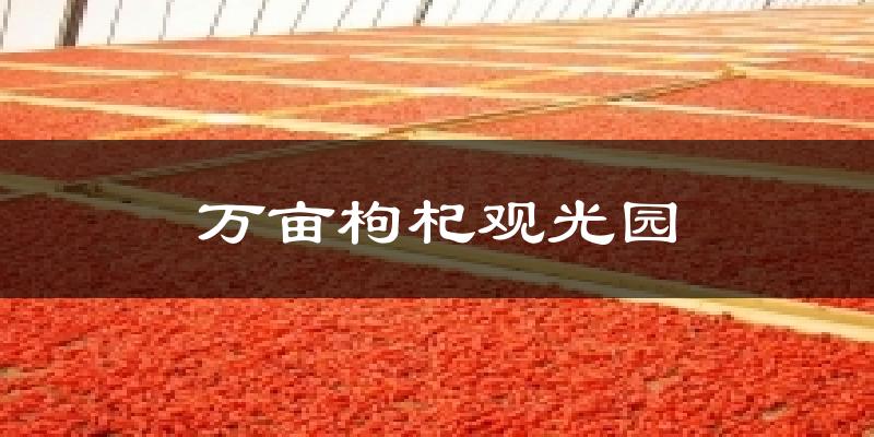 万亩枸杞观光园天气预报十五天