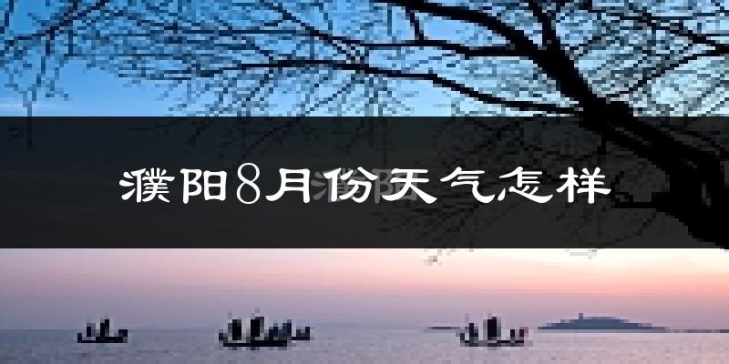 濮阳市8月份天气如何?很热吗?