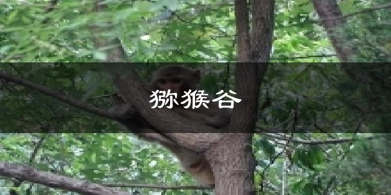 修武猕猴谷天气预报未来一周