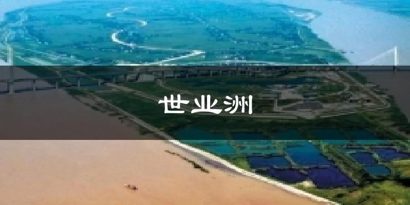 漳州世业洲天气预报未来一周
