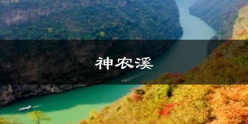 神农溪今日天气