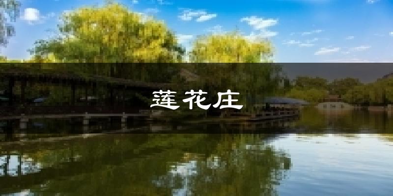 莲花庄天气预报十五天