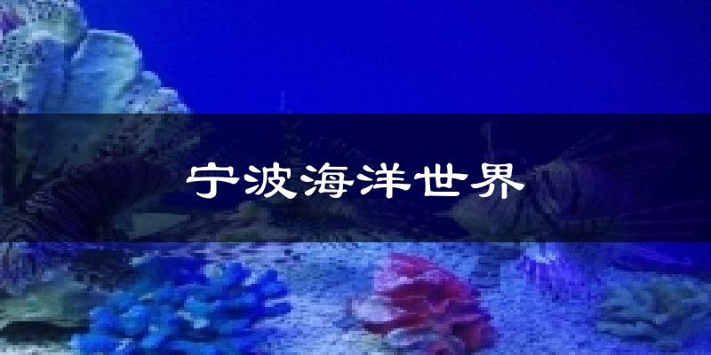 宁波宁波海洋世界天气预报未来一周