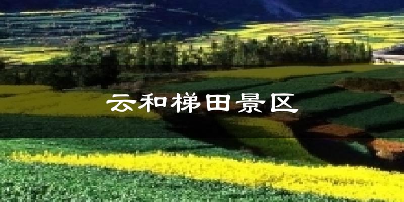 云和梯田景区天气预报十五天