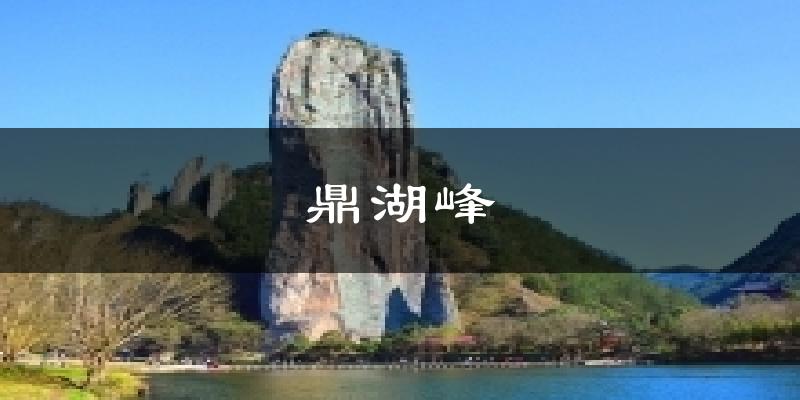 鼎湖峰天气预报十五天