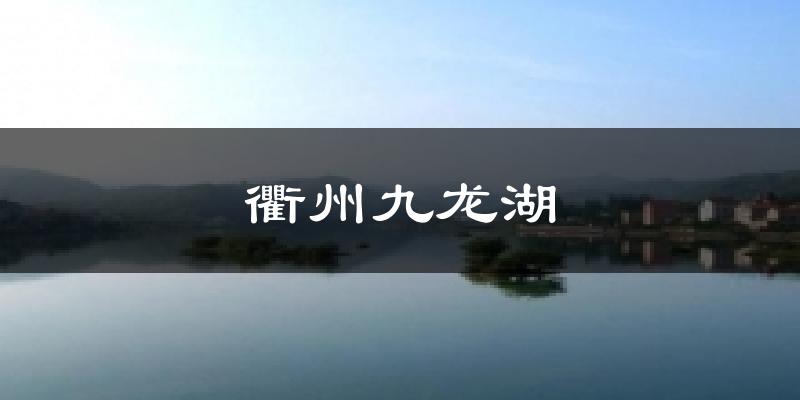 衢州九龙湖今日天气