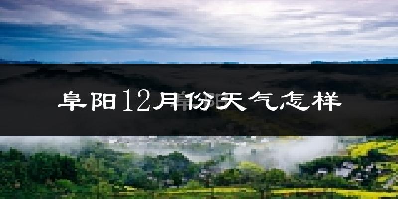 阜阳12月份天气怎样?阜阳十二月冷不冷?