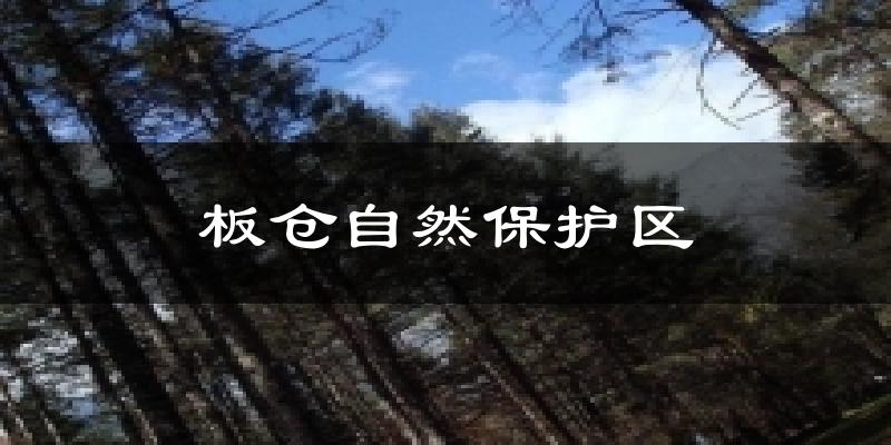 板仓自然保护区天气预报十五天