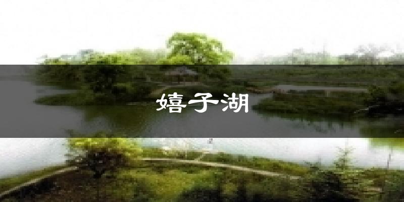 嬉子湖天气预报十五天