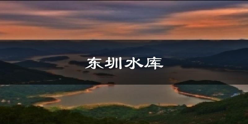 东圳水库天气预报十五天