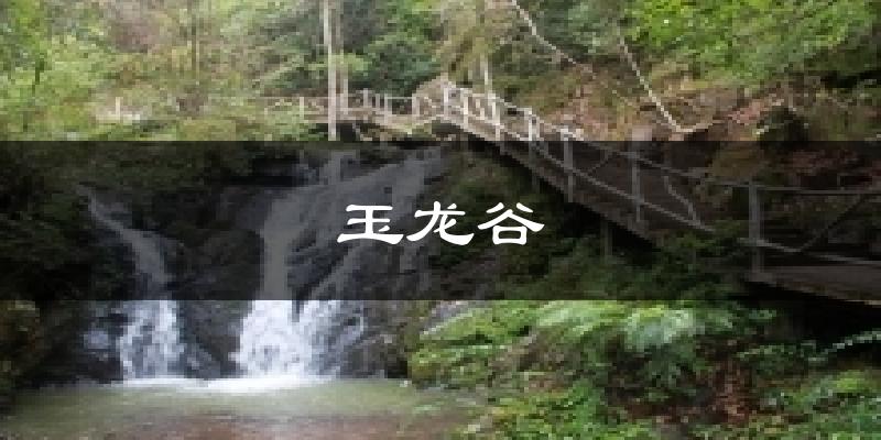 玉龙谷天气预报十五天