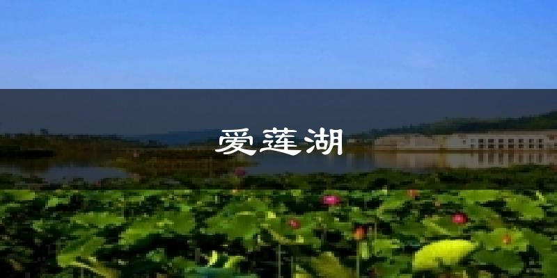 爱莲湖天气预报十五天