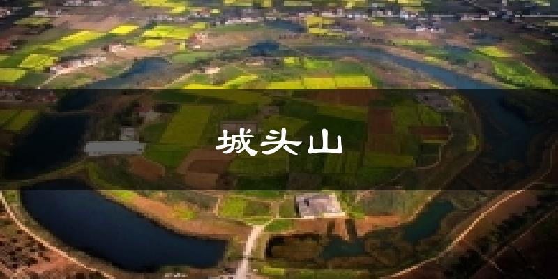城头山天气预报十五天
