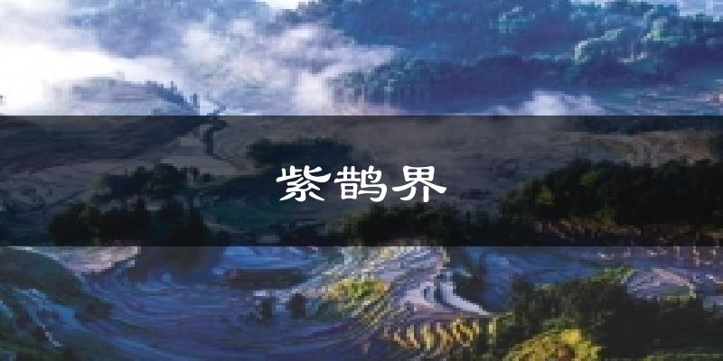 紫鹊界天气预报十五天