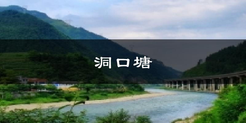 黄山洞口塘天气预报未来一周
