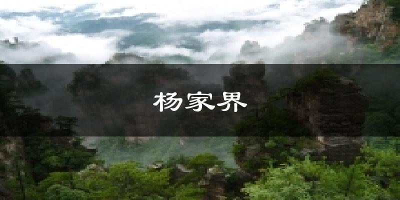 厦门杨家界天气预报未来一周