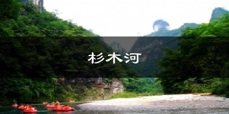 厦门杉木河天气预报未来一周