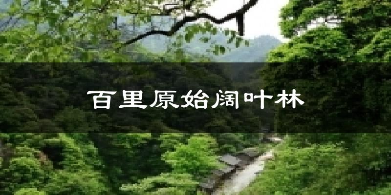 漳州百里原始阔叶林天气预报未来一周