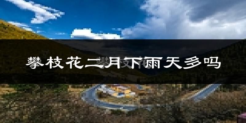 攀枝花二月下雨天多吗?攀枝花2月份降雨量多少?