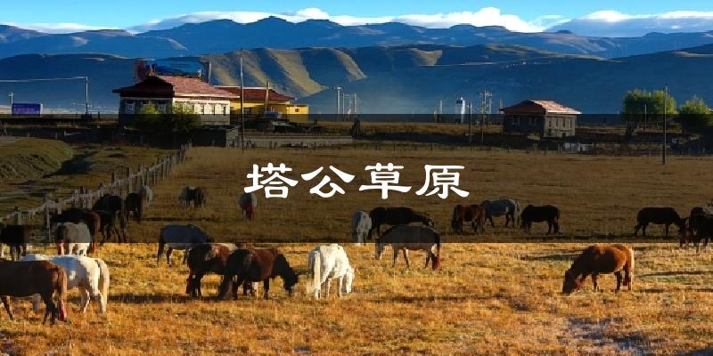 塔公草原天气预报十五天