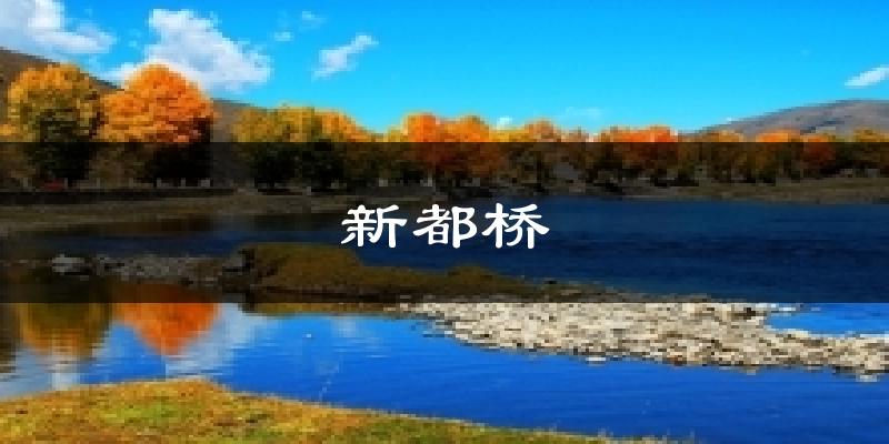新都桥天气预报十五天