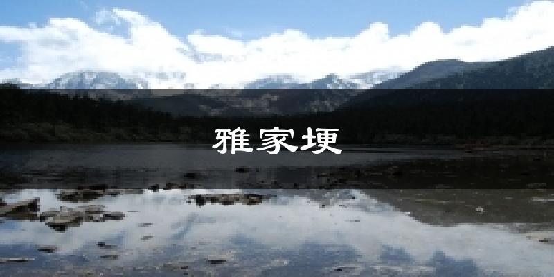 雅家埂天气预报十五天