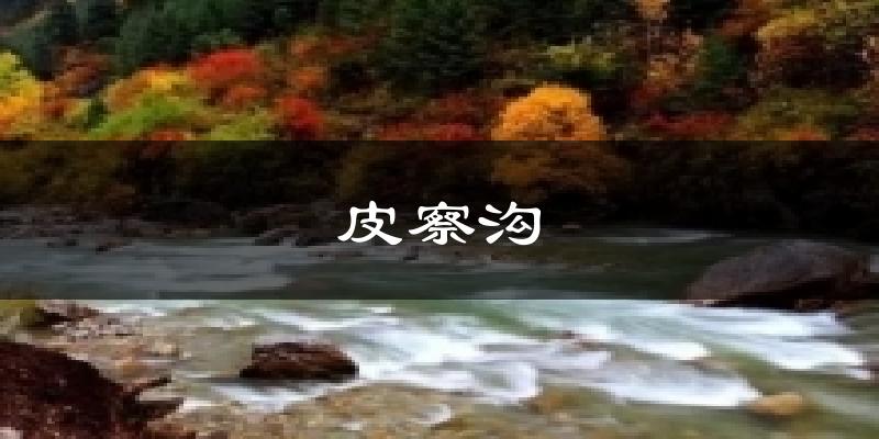 皮察沟天气预报十五天