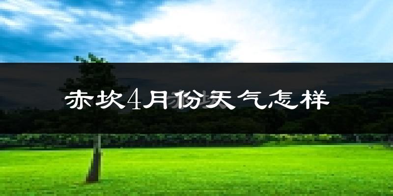 赤坎4月份天气怎样?赤坎四月冷吗?