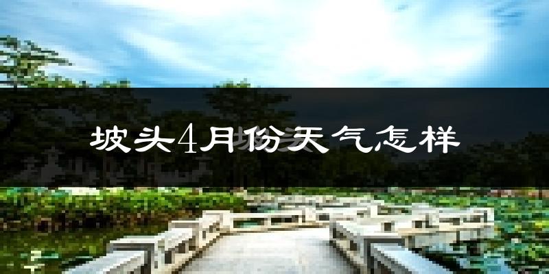 坡头4月份天气怎样?坡头四月冷不冷?