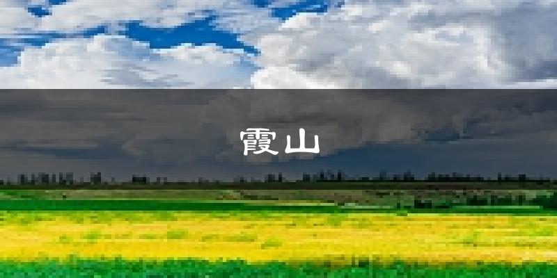湛江霞山天气预报未来一周