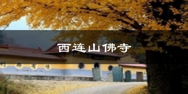西连山佛寺气温