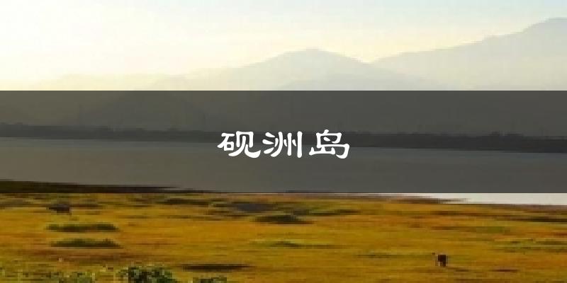 砚洲岛今日天气