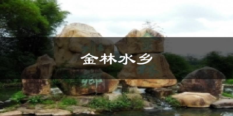 金林水乡今日天气