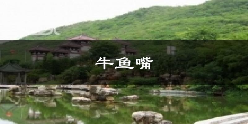牛鱼嘴天气预报十五天
