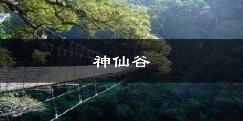 神仙谷今日天气