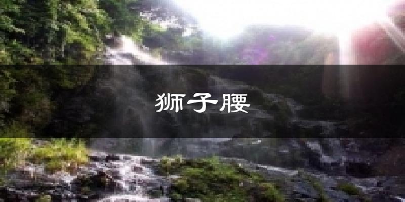 狮子腰气温