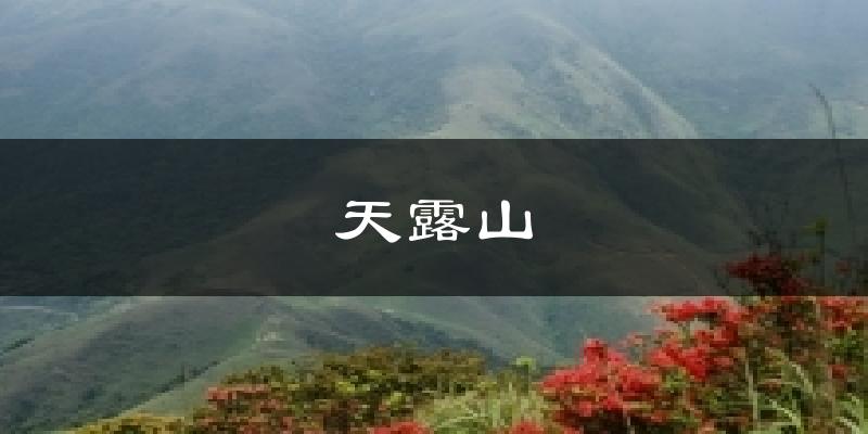 天露山今日天气