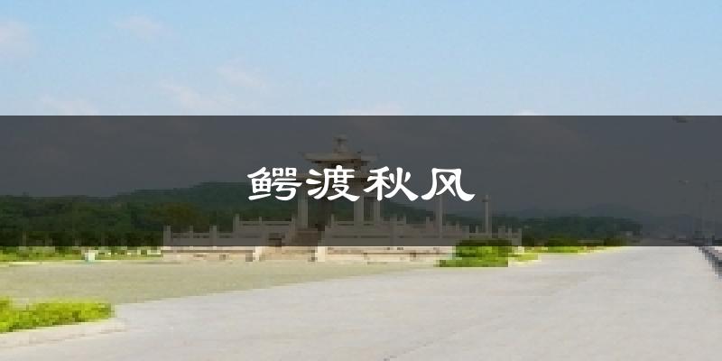 鳄渡秋风今日天气