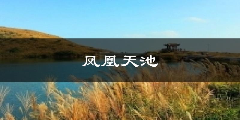 凤凰天池气温