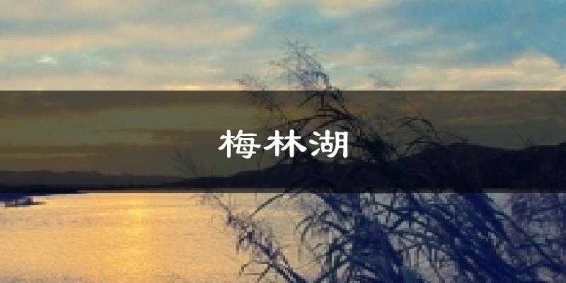 潮州潮安梅林湖天气预报未来一周