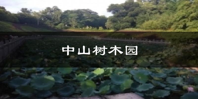 中山树木园气温