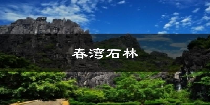 春湾石林今日天气