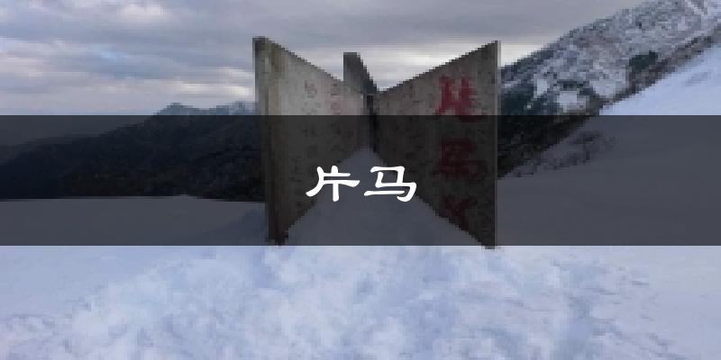 片马天气预报十五天