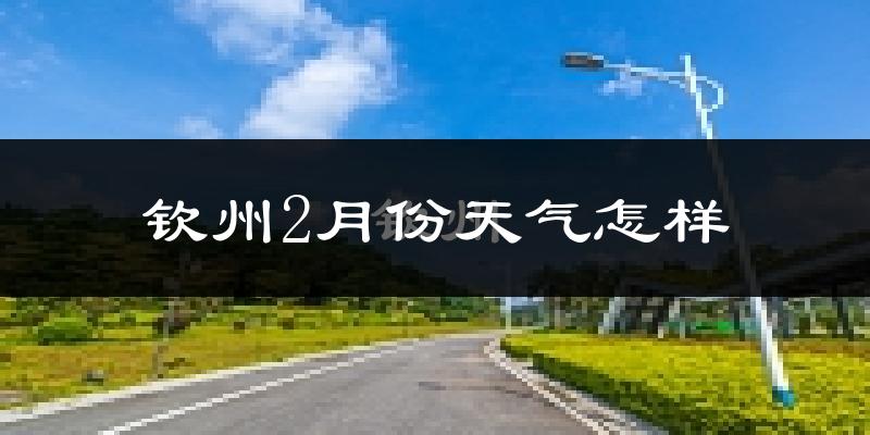 钦州2月份天气如何?冷吗?过去两年二月天气数据分析