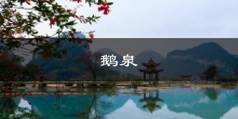 鹅泉天气预报十五天