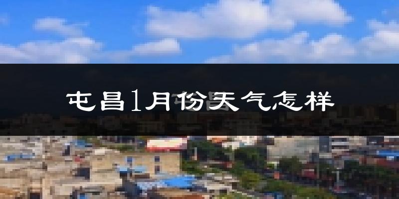 屯昌县1月份天气如何?冷吗?